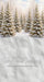North Pole Porch Forest Sweep (JA)