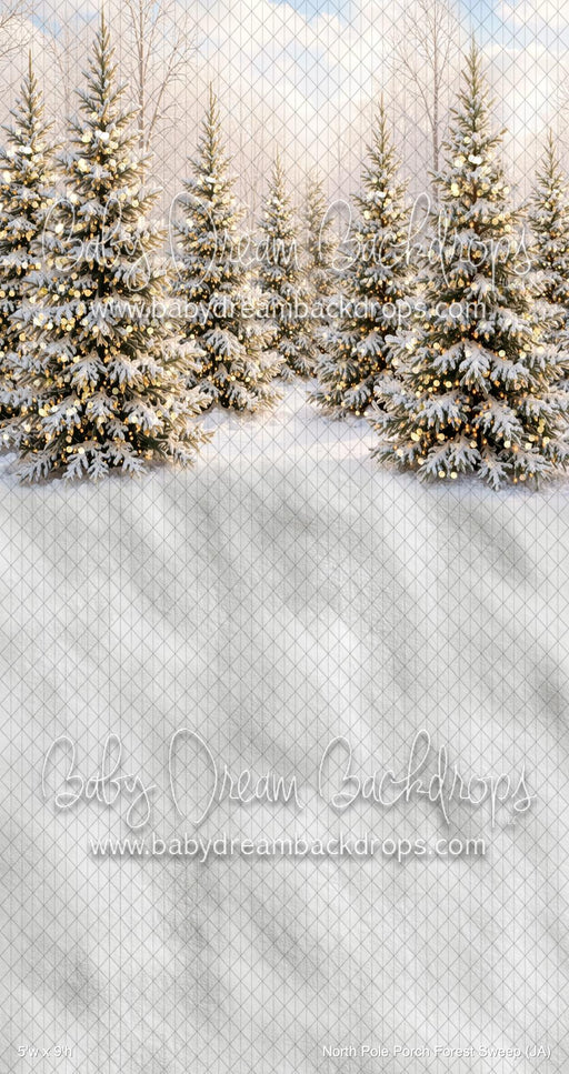 North Pole Porch Forest Sweep (JA)