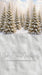 North Pole Porch Forest Sweep (JA)