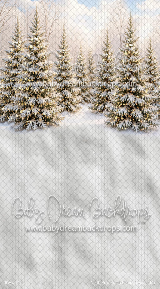 North Pole Porch Forest Sweep (JA)