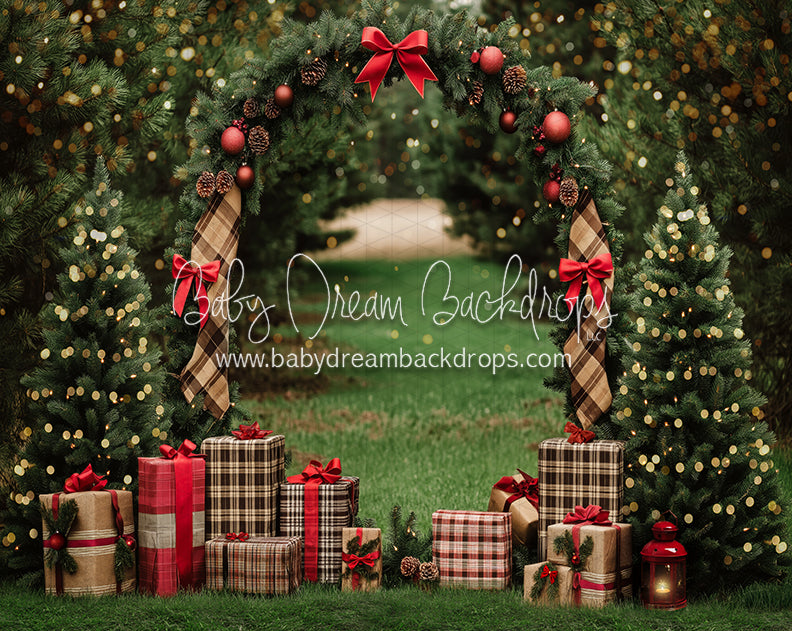 Northwoods Tree Farm (lights) (JA)