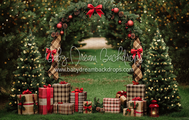 Northwoods Tree Farm (lights) (JA)