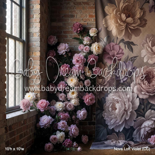 Nova Loft Violet (CC)