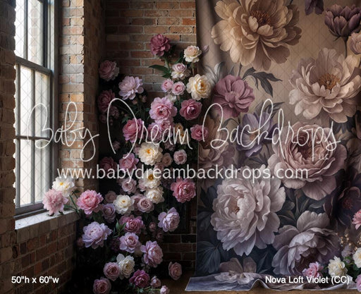 Nova Loft Violet (CC)