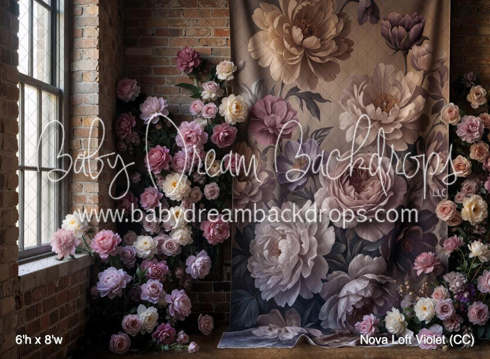 Nova Loft Violet (CC)