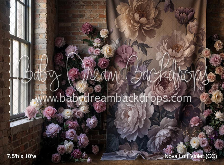 Nova Loft Violet (CC)