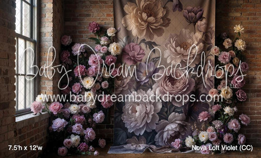 Nova Loft Violet (CC)