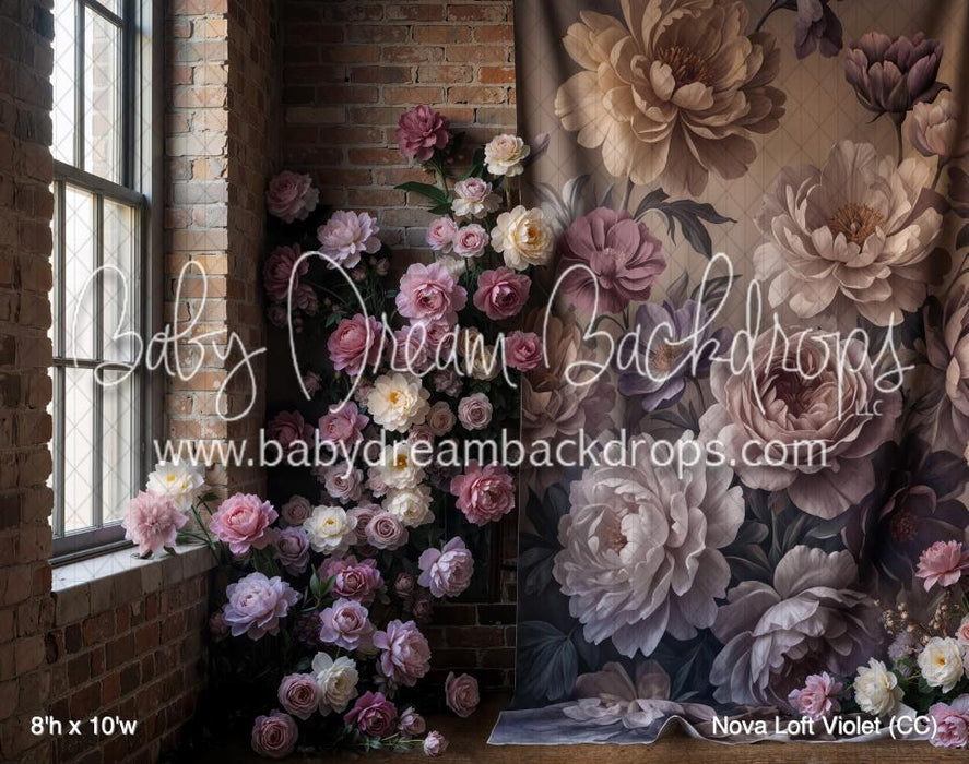 Nova Loft Violet (CC)