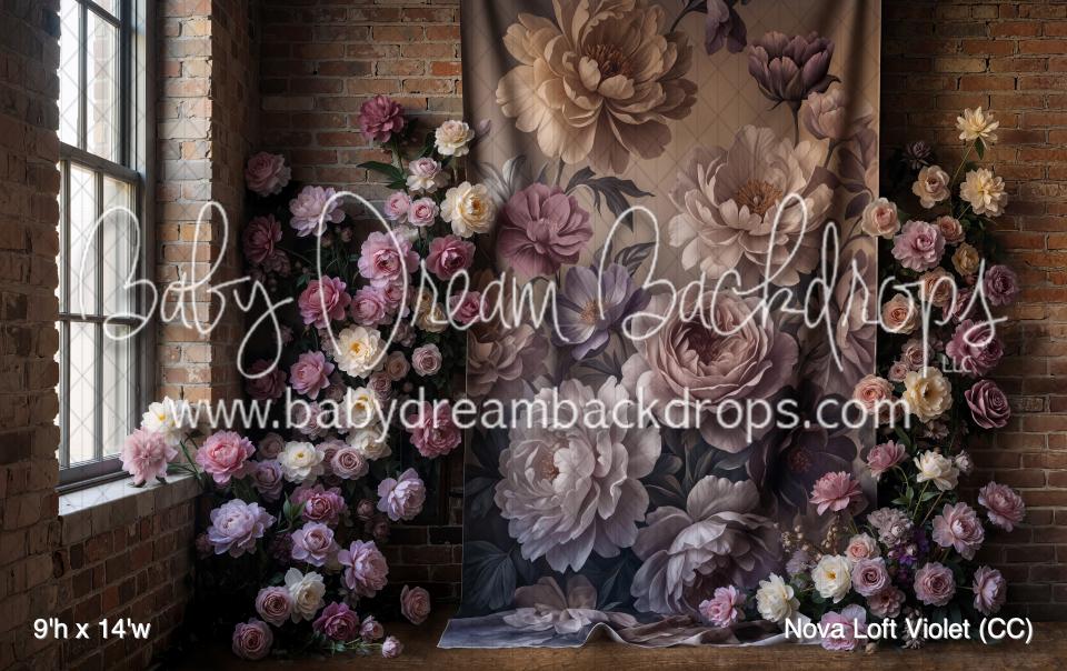 Nova Loft Violet (CC)