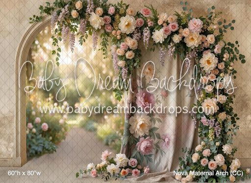 Nova Maternal Arch (CC)