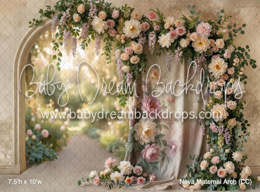 Nova Maternal Arch (CC)