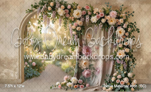 Nova Maternal Arch (CC)