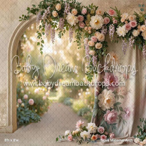 Nova Maternal Arch (CC)