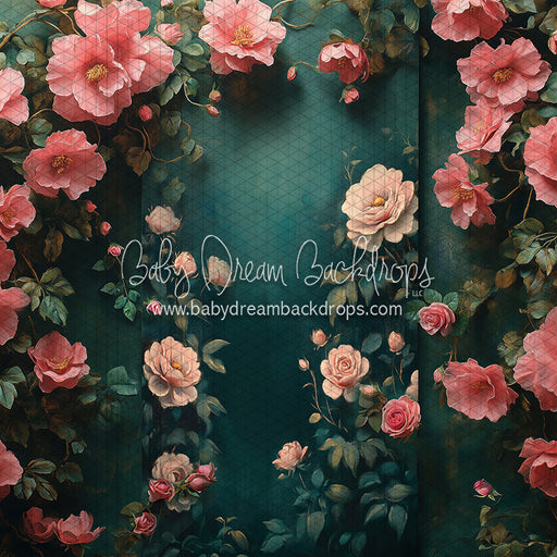 Nova Rich Spring (CC)