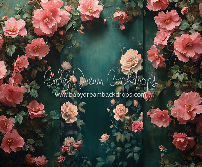 Nova Rich Spring (CC)