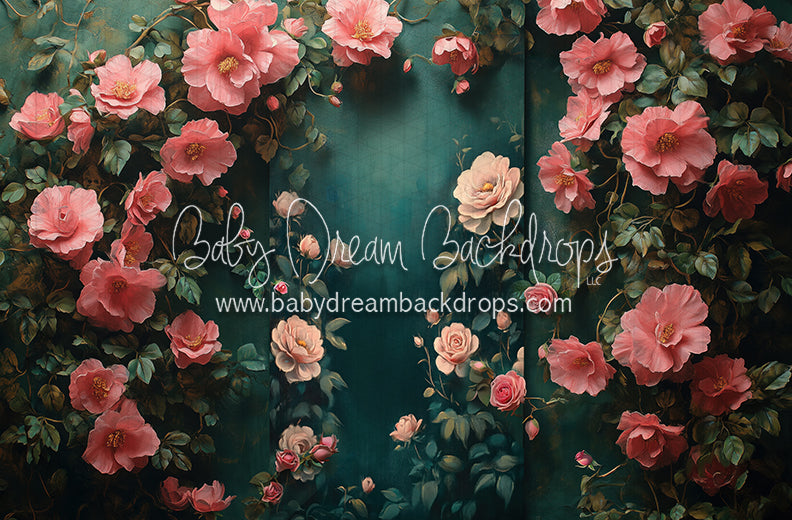 Nova Rich Spring (CC)