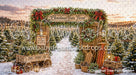 O Christmas Tree Farm (WM)