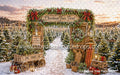 O Christmas Tree Farm (WM)