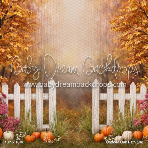 October Oak Path (JA)