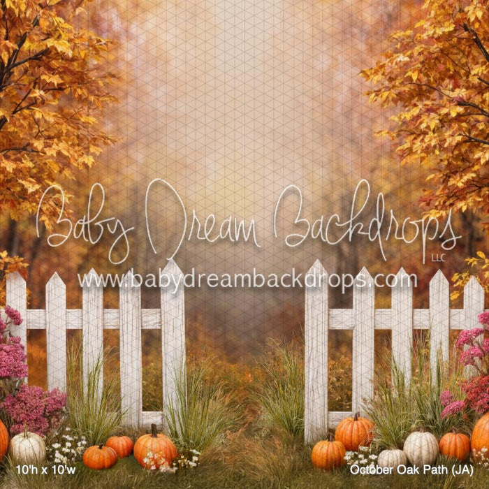 October Oak Path (JA)