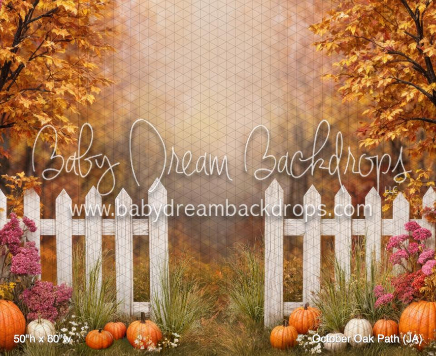 October Oak Path (JA)