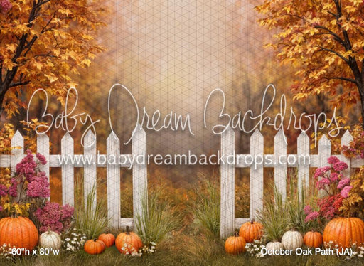 October Oak Path (JA)