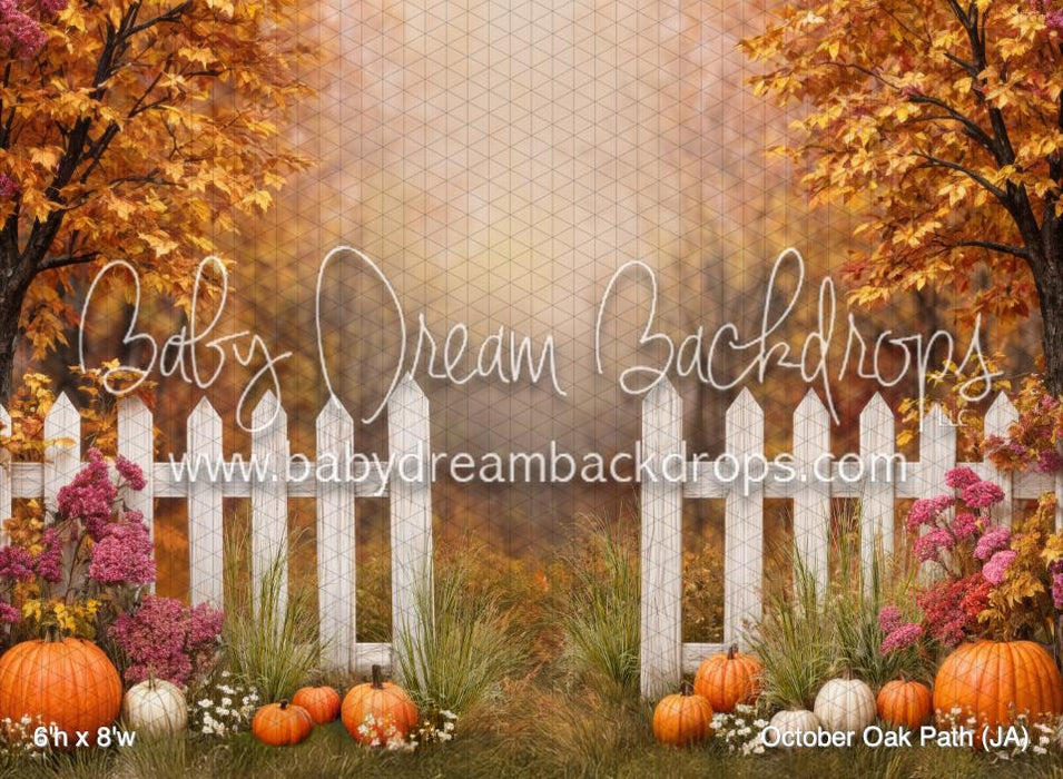 October Oak Path (JA)