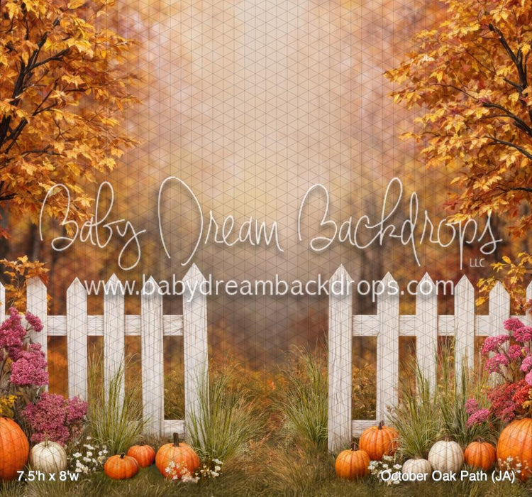 October Oak Path (JA)