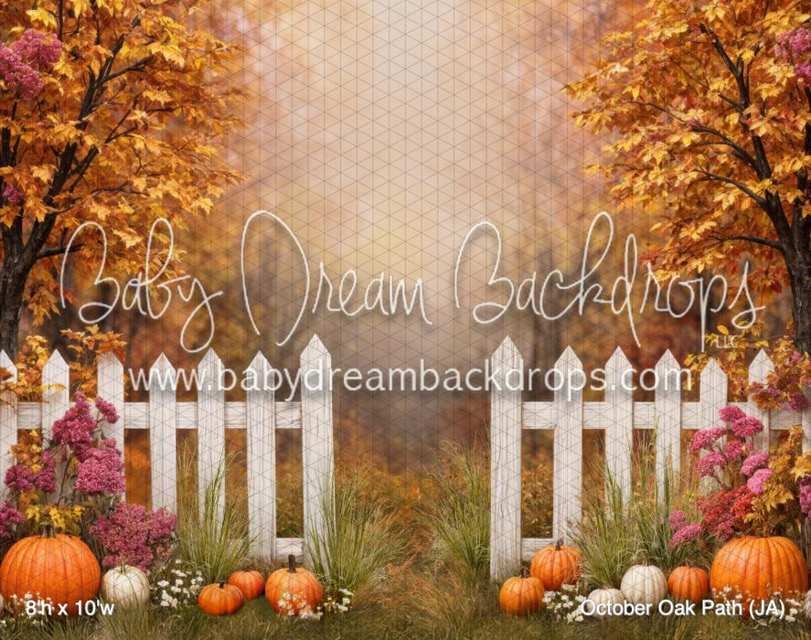 October Oak Path (JA)