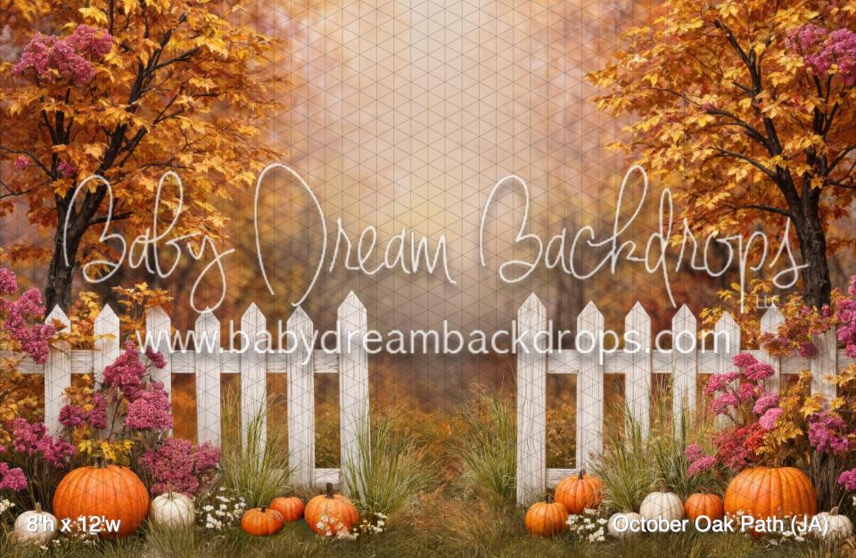 October Oak Path (JA)