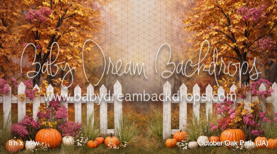 October Oak Path (JA)