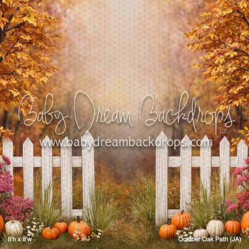 October Oak Path (JA)