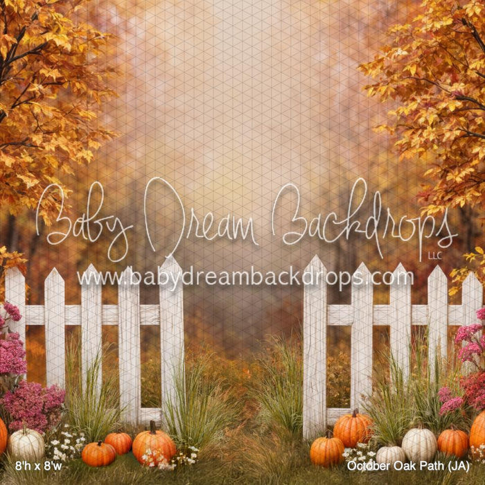 October Oak Path (JA)