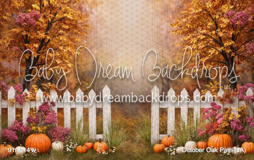 October Oak Path (JA)