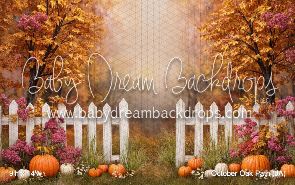 October Oak Path (JA)