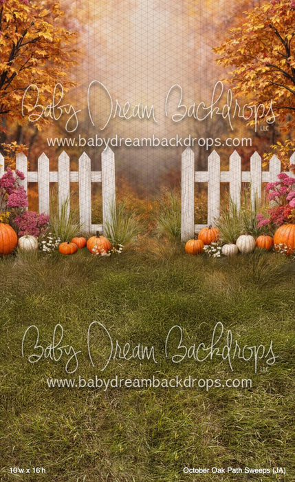 October Oak Path Sweeps (JA)