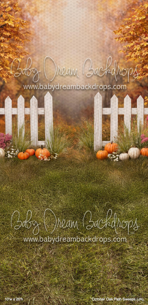 October Oak Path Sweeps (JA)