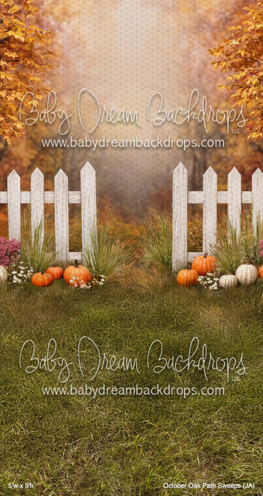 October Oak Path Sweeps (JA)