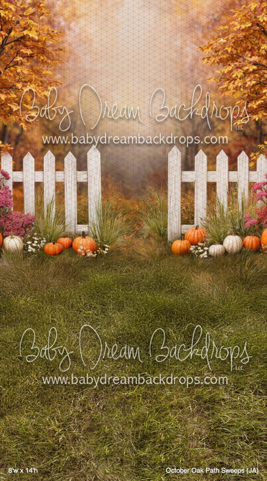 October Oak Path Sweeps (JA)