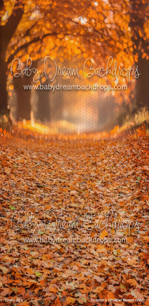 October???s Whisper Sweep (WM)