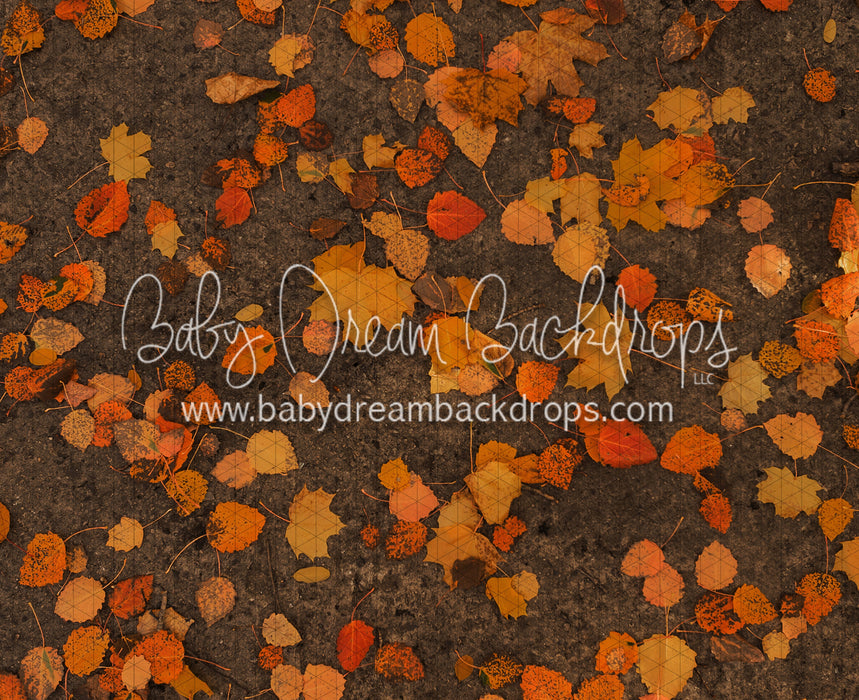 October Leafy Road (CC)