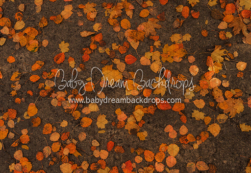 October Leafy Road (CC)