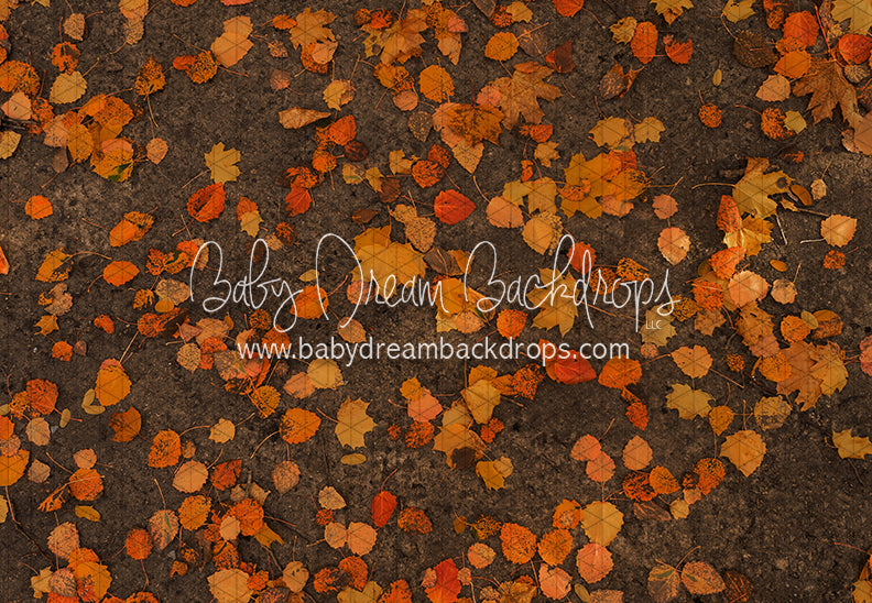 October Leafy Road (CC)