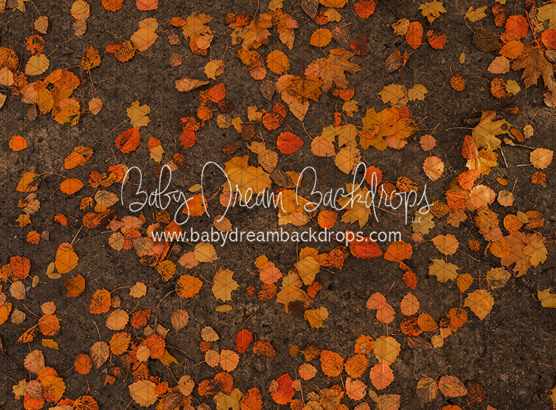 October Leafy Road (CC)