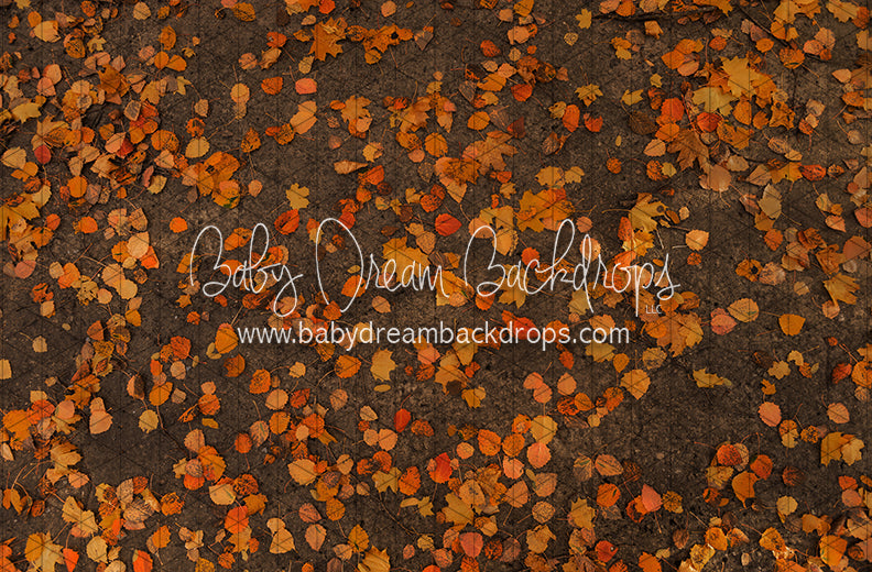 October Leafy Road (CC)