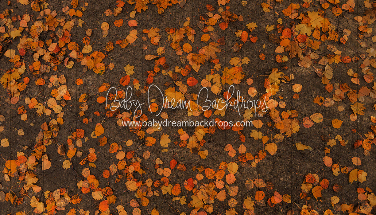 October Leafy Road (CC)