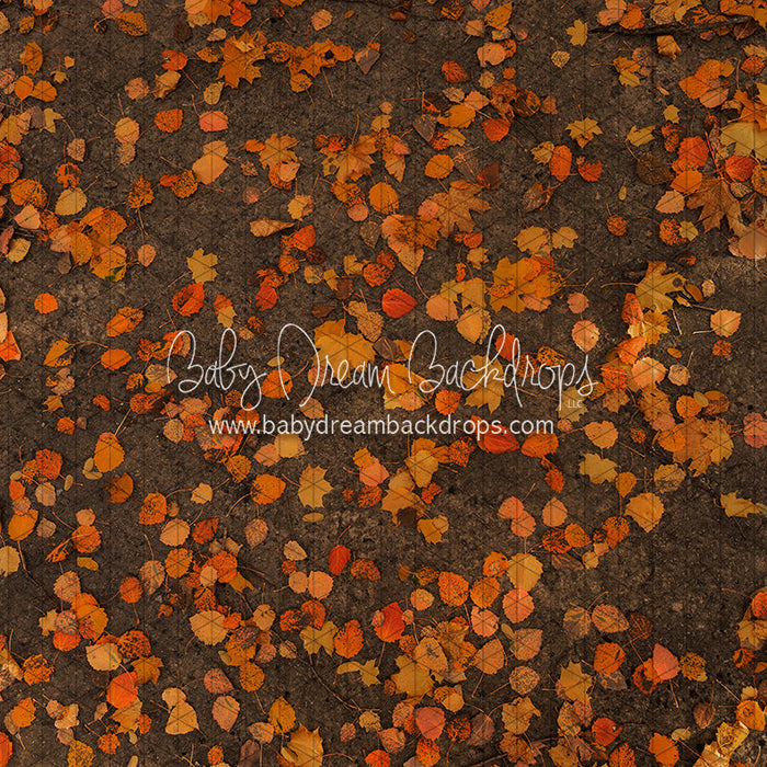 October Leafy Road (CC)