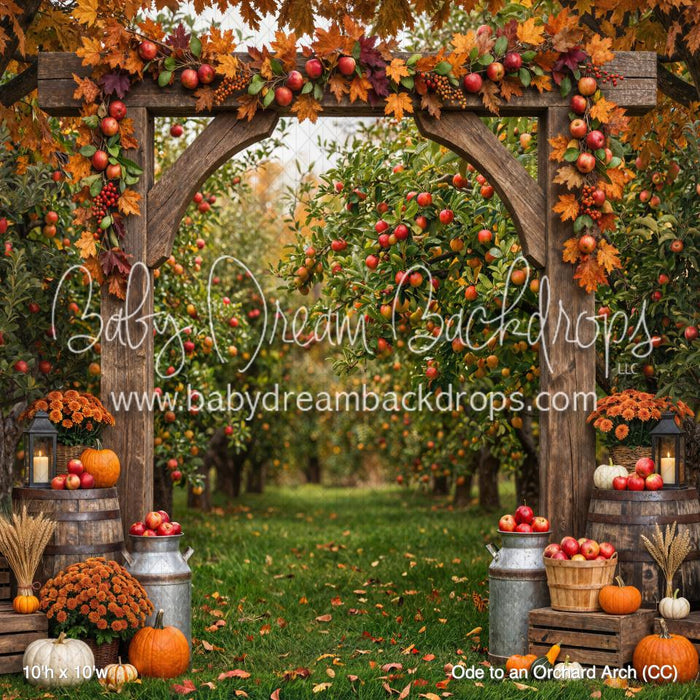 Ode to an Orchard Arch (CC)