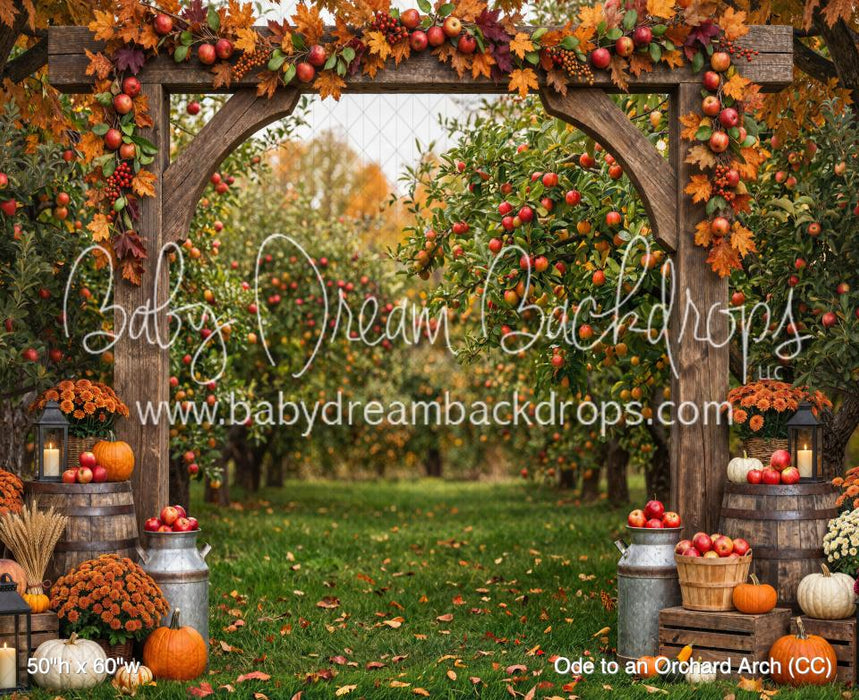 Ode to an Orchard Arch (CC)