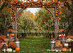 Ode to an Orchard Arch (CC)